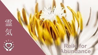 Reiki for Abundance  Energy Healing [upl. by Banky]