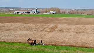 THE PLOUGHMAN ♫♫♫ Horses Plowing A Field [upl. by Adlig307]