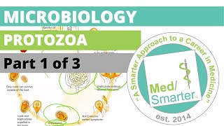 Protozoa  Microbiology  USMLE STEP 1  Part 1 of 3 [upl. by Eivi859]