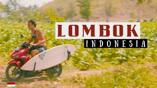 SURFING in LOMBOK 🇮🇩 Indonesia [upl. by Coad910]