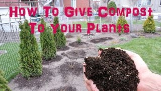 How To Give Compost To Your Plants [upl. by Comfort758]