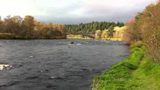 Grantown on Spey River Spey Scotland [upl. by Coheman969]