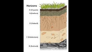 Weathering and Soil Formation [upl. by Anirtal]