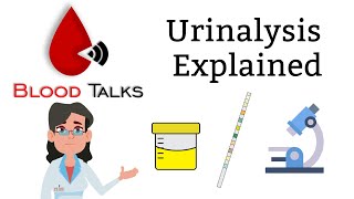 urinalysis explained full  Whats in your urine [upl. by Aimek]