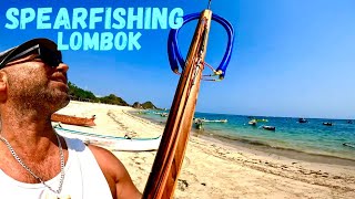 SPEARFISHING LOMBOK INDONESIA [upl. by Ennovehc]