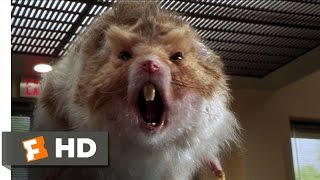 Nutty Professor 2 The Klumps 89 Movie CLIP  Giant Hamster Attack 2000 HD [upl. by Hicks]