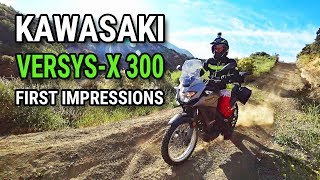 Kawasaki VersysX 300 — Test Ride and First Impressions On Road and Off Road [upl. by Rey]