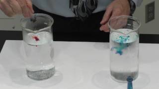 Convection and Diffusion Demo Hot and Cold Water [upl. by Muslim113]