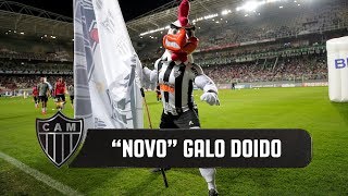 quotNovoquot Galo Doido agita o Horto [upl. by Norvun]