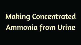 Making Concentrated Ammonia From Urine [upl. by Lynnet]