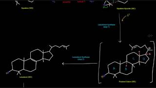 Cholesterol Synthesis Part 5 of 6  Stage 4 Squalene Cyclization [upl. by Eireva]