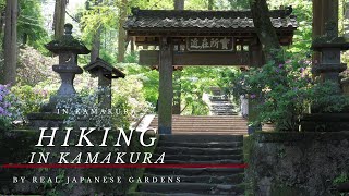 Real Japanese Gardens Exploring Kamakura HD [upl. by Halfon954]